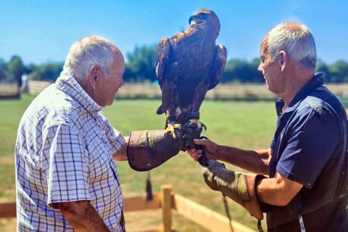 David at Bird of prey centre
