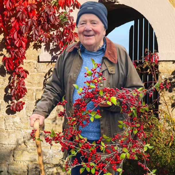 David with a wreath
